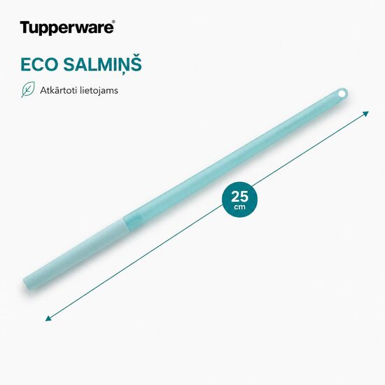 Eco salmiņš