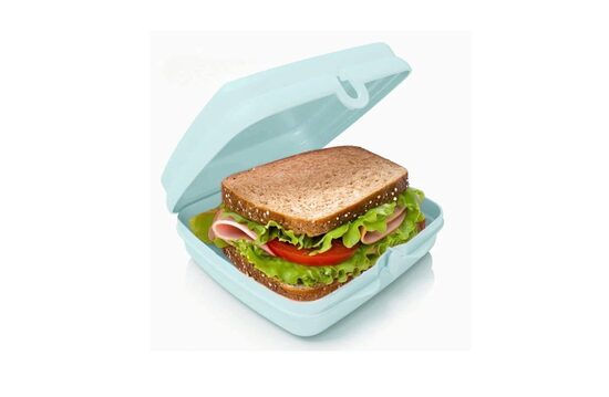 Kvadrātveida sviestmaižu kaste (zila)